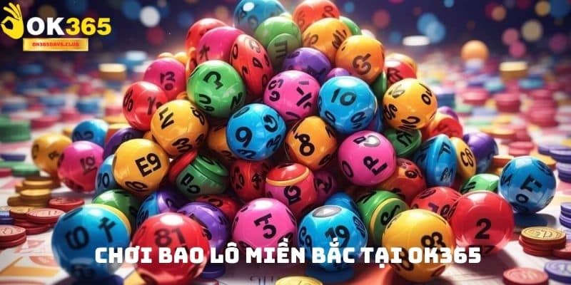 Bao Lô Miền Bắc – Bí Quyết Chinh Phục Thế Giới Lô Đề 1 Bao Lô Miền Bắc – Bí Quyết Chinh Phục Thế Giới Lô Đề