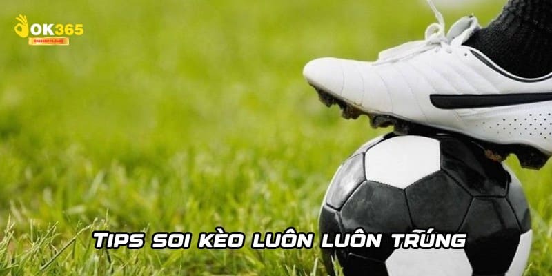 Kèo Châu Á Tại OK365 – Tỷ Lệ Cược Hấp Dẫn Cho Dân Chơi Đích Thực 4 Tips soi kèo luôn luôn trúng từ chuyên gia