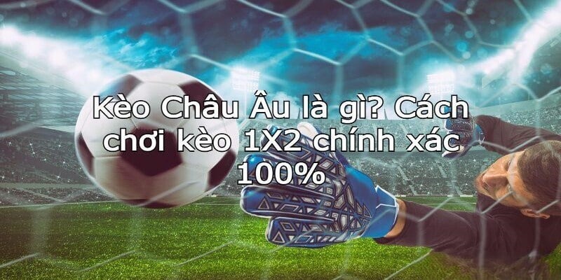 Cách Chơi Kèo Châu Âu Hiệu Quả Như Chuyên Gia Hàng Đầu 4 Một số kinh nghiệm dự đoán kèo châu Âu từ OK365