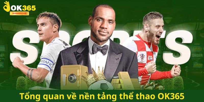 Thể Thao OK365 | Sảnh Cược Thách Thức Mọi Đam Mê 2025 2 Tìm hiểu đôi nét về danh mục thể thao OK365 đình đám